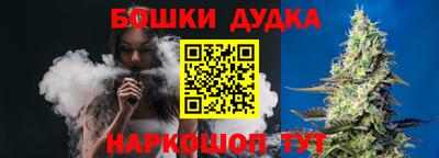 МДПВ Будённовск