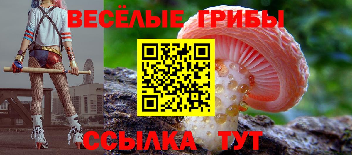 Галлюциногенные грибы Psilocybe Орехово-Зуево