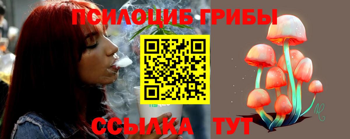 Псилоцибиновые грибы мицелий  Псилоцибиновые грибы Magic Shrooms  Вход с VPN  Орехово-Зуево 